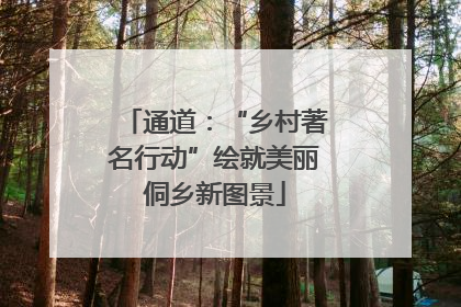 通道：“乡村著名行动”绘就美丽侗乡新图景